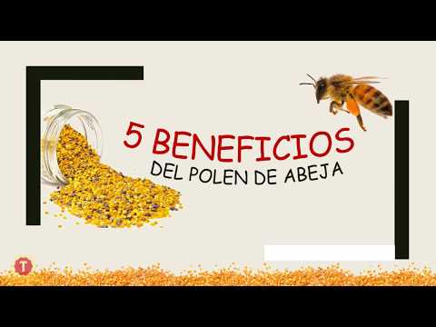 , title : 'Beneficios del polen para la salud'