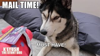 Husky&#39;s Rescues Hippo! Mail Time!