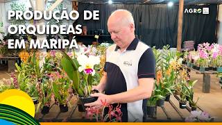 Miniatura do vídeo