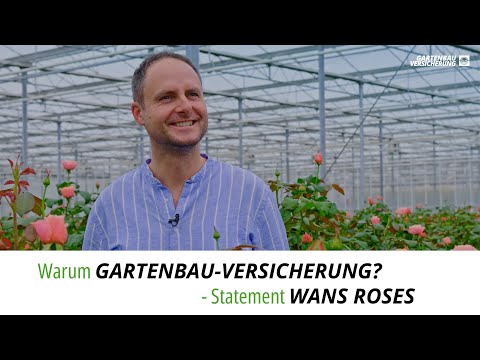Warum "Gartenbau-Versicherung"? - Statement "Wans Roses"