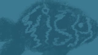 Summer gif typography assignment