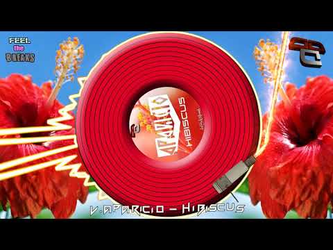 V.Aparicio - Hibiscus (Original Mix)