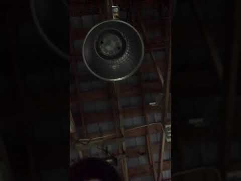 Revisiting Devon Larratt bottom 8 machine