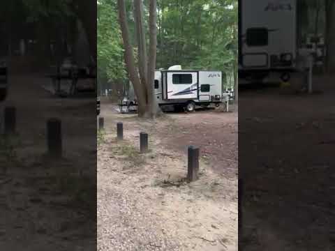 site 290