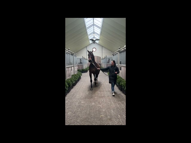 Ponthargos walk & 360