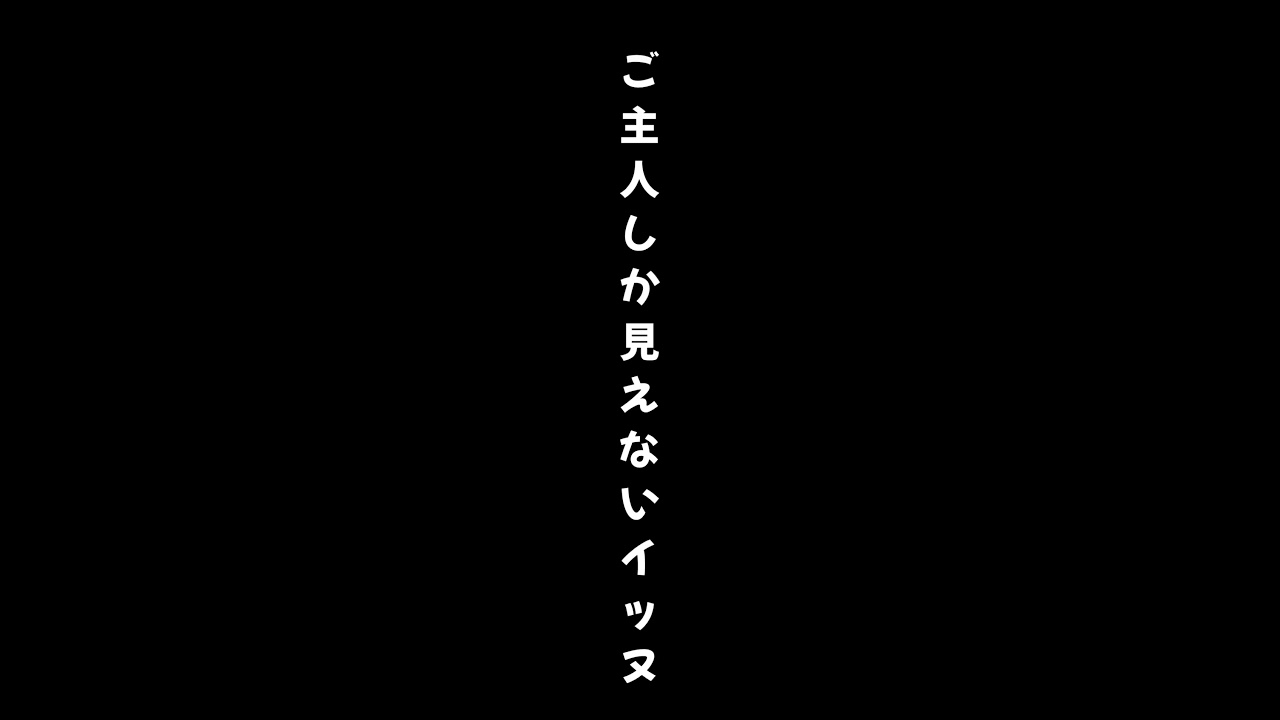 大好きなご主人の帰宅に歓喜するイッヌ