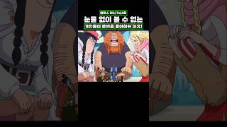 최신화) 눈물 없이 볼 수 없는 거인들이 로빈을 좋아하는 이유! #onepiece #원피스
