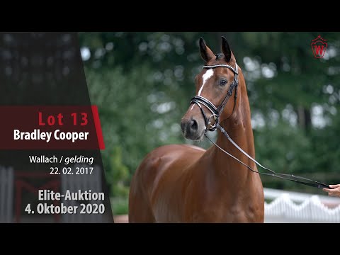 Elite-Auktion 4. Oktober 2020 Lot13 Bradley Cooper Wallach v. Bon Coer - Rohdiamant
