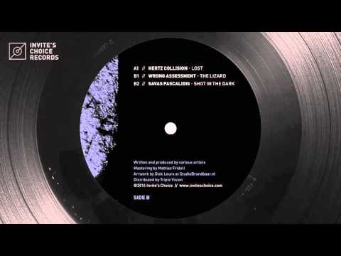 Wrong Assessment - The Lizard