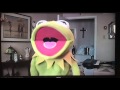 The Muppet Show Being Cancelled 60ps