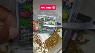 please no this is very expensive Pokemon card stop!! #pokemon #pokemoncards #pokemontcg #experiment