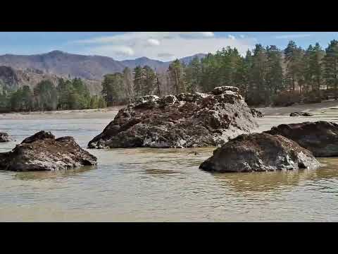 Обзор смартфона Samsung Galaxy A56: игра в классики / Смартфоны