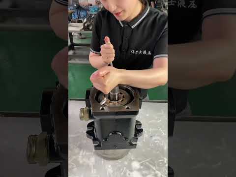 repair a rexroth A4VG125 hydraulic pump