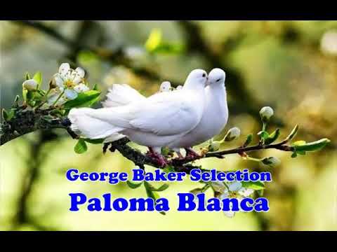 George Baker Selection - Paloma Blanca Lyrics #USA #Brazil #Russia #Japan #India #UK #Germany #Spain