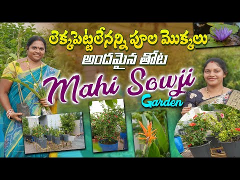 Mahi Sowji గారి Garden lo లెక్కపెట్టలేనన్ని పూల మొక్కలు Special Garden Vlog #gardening #flowers