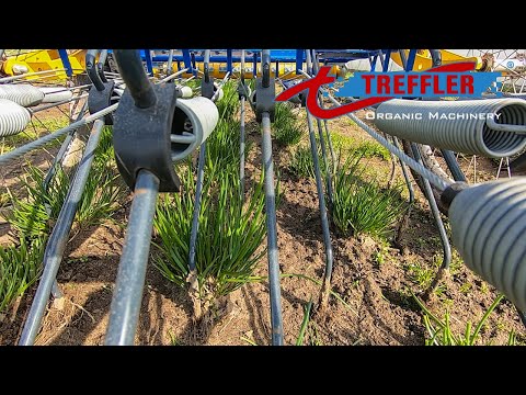 TREFFLER Tiny Striegel 80 - Striegeln von Schnittlauch