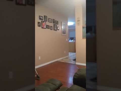 download lagu mp3 mp4 Twin Dragon Wonton Wrappers, download lagu Twin Dragon Wonton Wrappers gratis, unduh video klip Twin Dragon Wonton Wrappers