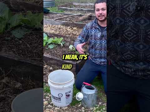 Compost Alternatives: Easy Waste Solutions