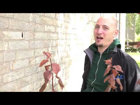 Is Rotterdam-Hillegersberg eindelijk verlost van de terrormier?