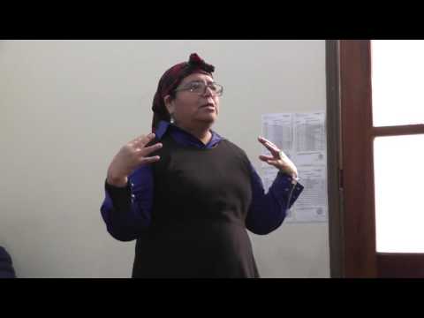Medicina Mapuche parte 1