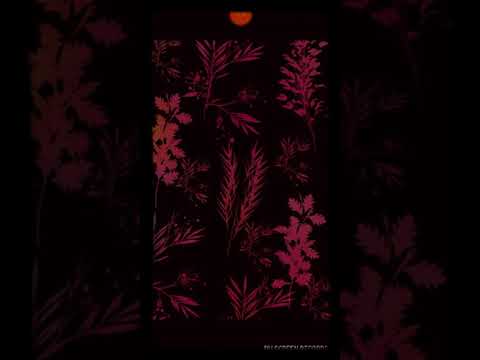 C.R.O ft. Franky Style - Shorty