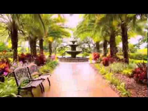 download lagu mp3 mp4 The Schnebly, download mp3 The Schnebly free download, download mp3 The Schnebly