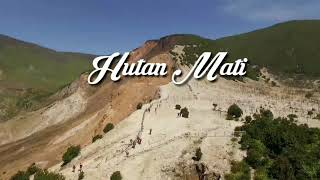 preview picture of video 'Hutan Mati Papandayan Mountain'