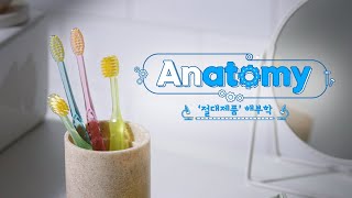 칫솔이 만들어지는 과정을 한눈에!