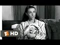 Roman Holiday 5 10 Movie CLIP The Morning After 1953 HD