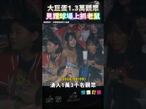 大巨蛋1.3萬觀眾見證「抓老鼠」