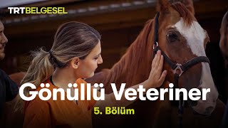 Gönüllü Veteriner | 5. Bölüm | TRT Belgesel