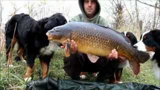preview picture of video 'ORECAN BERNESE and CARPFISHING 2014 by Jan Ščerba'