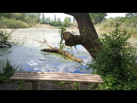 Pfeife & Tabak - TAK S & Dublin