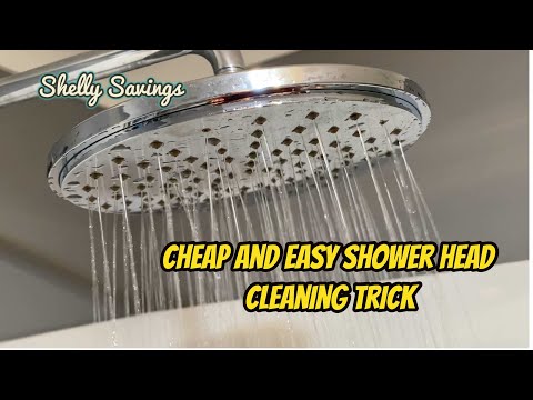 Cheap and Easy Way to Clean your Shower Head