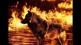 Lunatic Soul - Out On A Limb