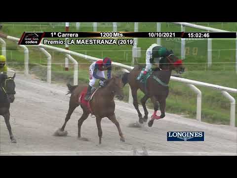 211010 c01 MIGHTY BOY (BRZ)