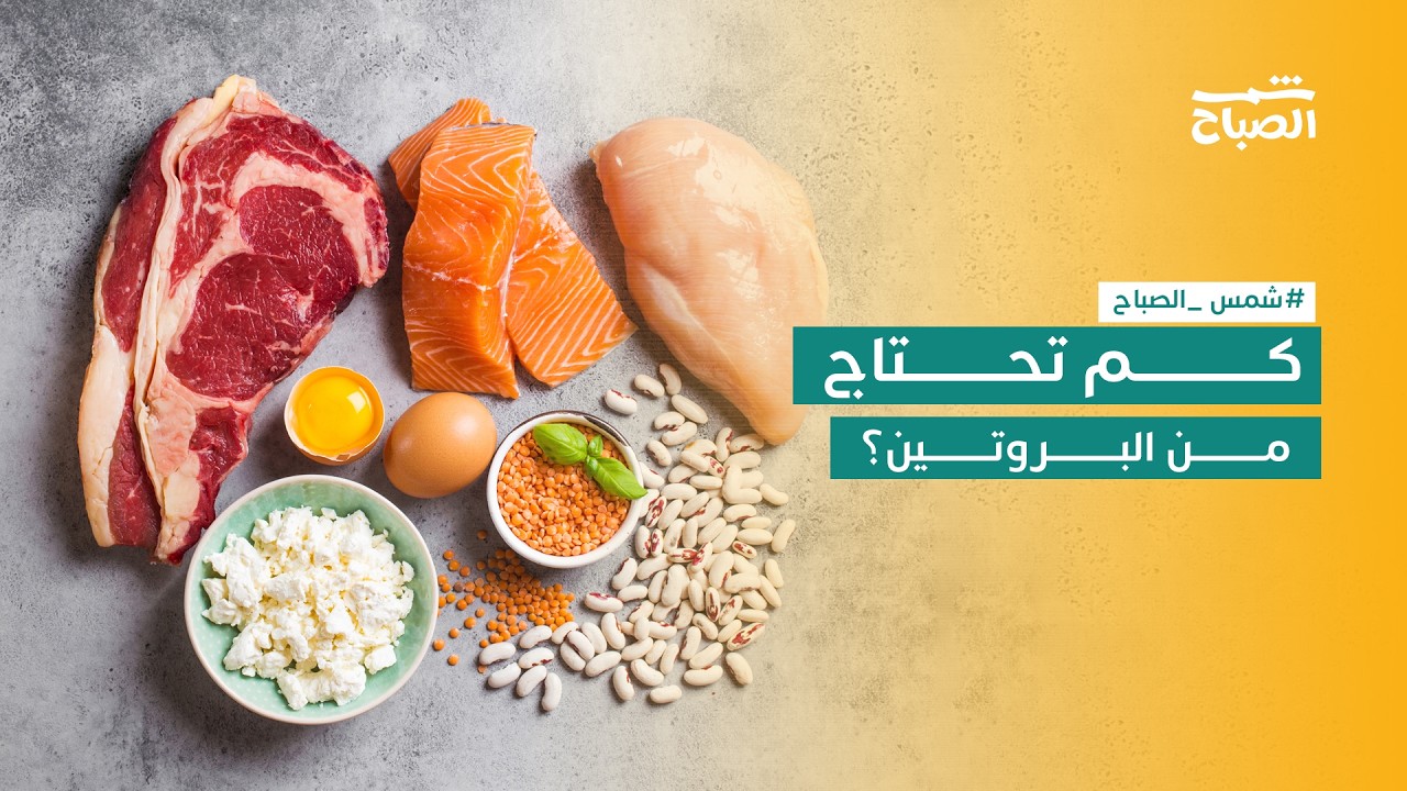 فيديو | شمس الصباح| كم كمية البروتين التي يحتاجها جسمك يومياً؟