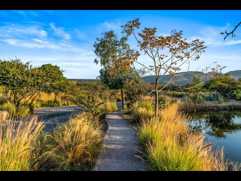 Camino a Alcocer km 3.4 | San Miguel De Allende, MX - The Agency
