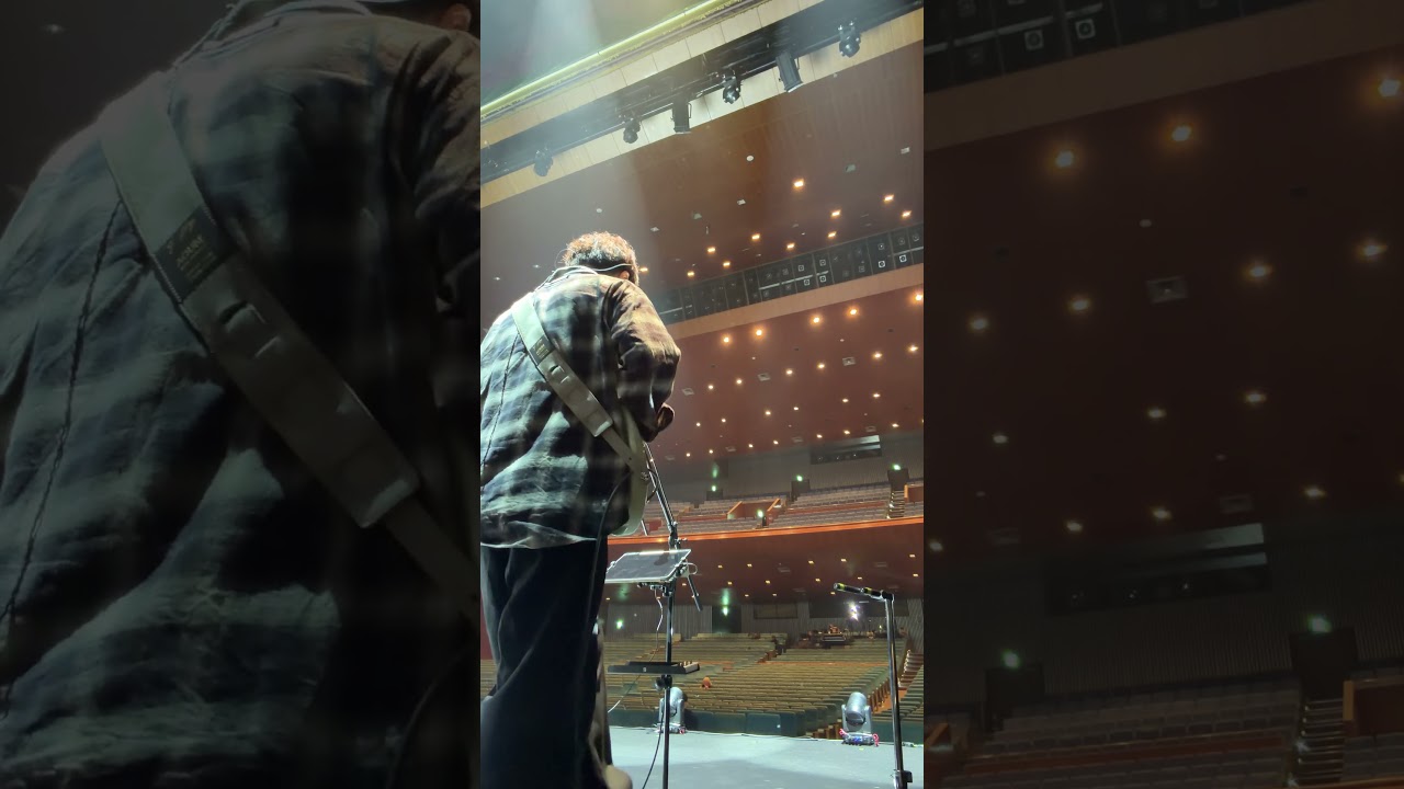 Sound Check Y.O.S. Guitars Quintic + Little Walter 59