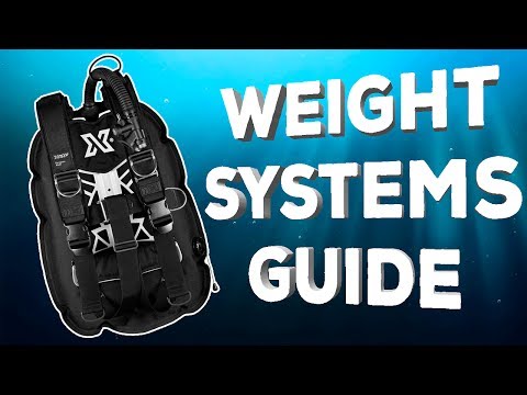Weight System Guide