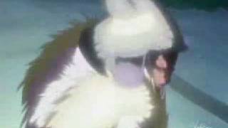 Tenten - Hazard To Myself [Pink]