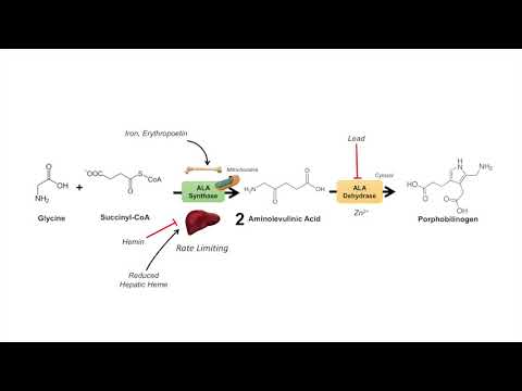 Con đường tổng hợp Hem