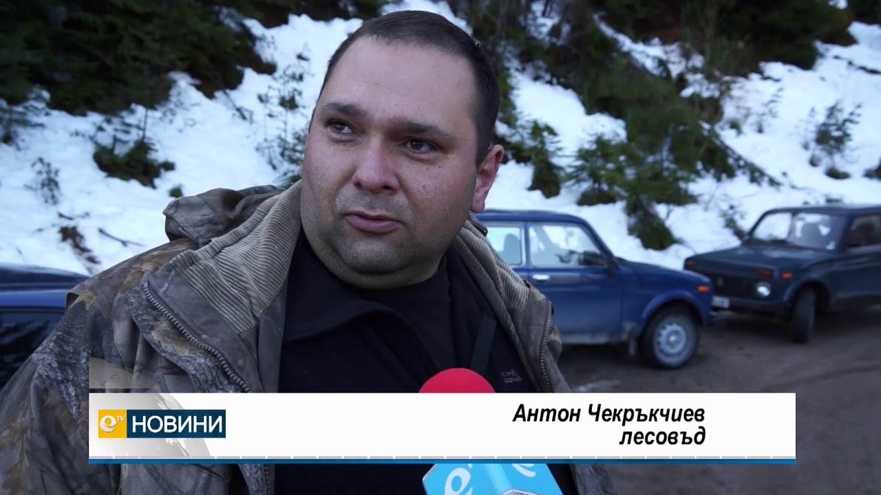 Машина сама реже и кастри падналите от урагана дървета