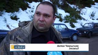 Машина сама реже и кастри падналите от урагана дървета