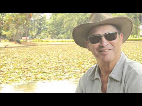 Di Santana    Momentos