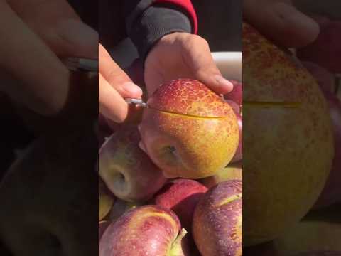 Asian tasty fruit ninja #shorts #5016