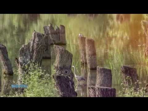 Giurgeni - un colt de Rai