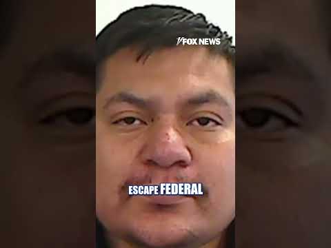 Judge avoids jail time after helping migrant evade ICE #shorts #foxnews #us #immigration