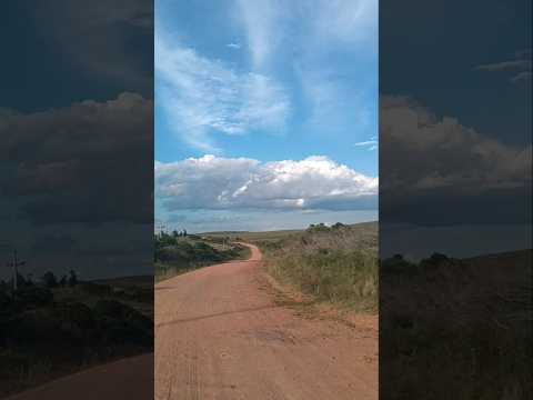 Camino entre ruta 7 y pueblo Centurión , departamento de Cerro Largo , Uruguay , videitos 🇺🇾 .