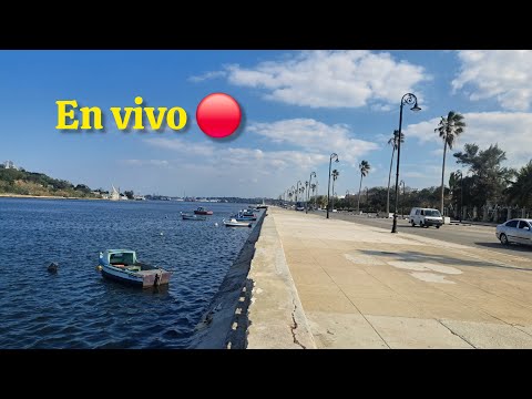 Cuba en vivo #cuba #cubahoy #lahabana